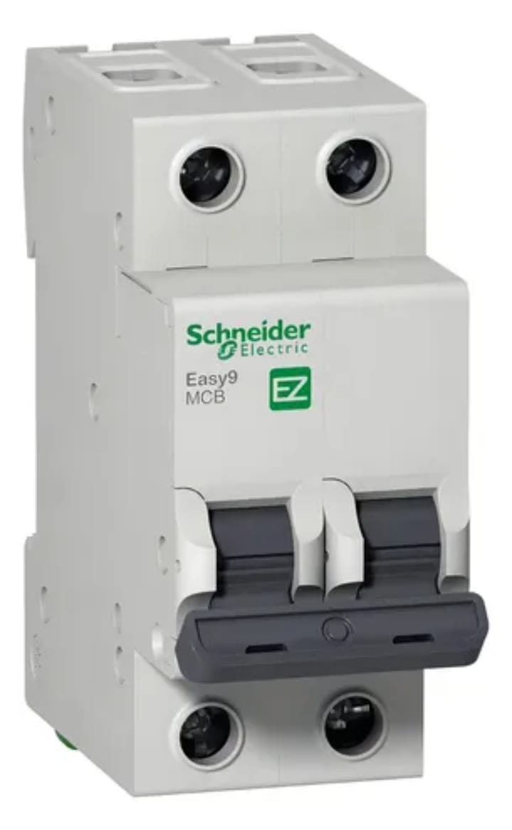 Interruptor termomagnético 2x20A
